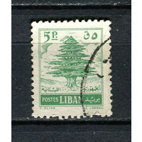 Ливан - 1957 - Дерево 5Pia - [Mi.604] - 1 марка. Гашеная.  (LOT Gw12)-T3P17