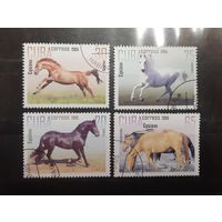 Куба. 2005 год. Фауна. Лошади (113)