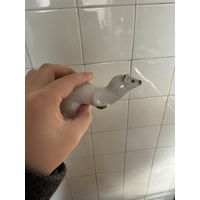 Куница фарфор