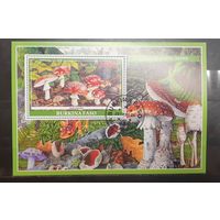 Буркина-Фасо. 2019 год. Флора. Грибы. Блок (1018)