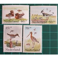 1984 Птицы - Благотворительные марки-Нидерланды