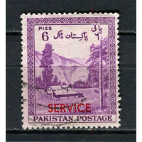 Пакистан - 1957 - Надпечатка SERVICE на 6P. Dienstmarken - [Mi.55d] - 1 марка. Гашеная.  (Лот 47HN)-T2P18