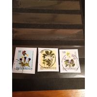 Австрия флора цветы (1-л1)