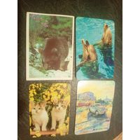 Календарики одним лотом