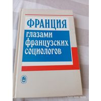 Франция глазами французских социологов. Редкая