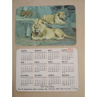 Карманный календарик. Львы. 1993 год