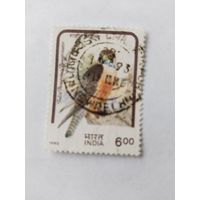 Индия 1992