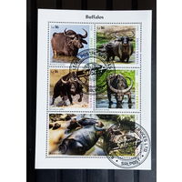 ЛИСТ ФАУНА животные  СТО