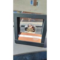 70 лет банковской системе Беларуси