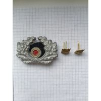 Кокарда (капуста)+глазок+ кубарики для реконструкторов. Вермахт. Реплика.