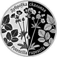 Лапчатка скальная. Дубровка скальная. 1 рубль