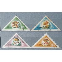 Польша грибы 4шт