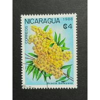 Никарагуа 1988. Цветы