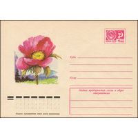 Художественный маркированный конверт СССР N 9729 (20.05.1974) Пион средний
