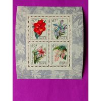 СССР.  Тропические и субтропические растения. ( Блок ) 1971 года. *108.