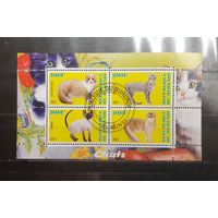 Бурунди. 2011 год. Фауна. Кошки (малый лист) (1218)