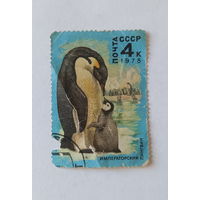 Марки СССР. Почта СССР 1978г. Императорский пингвин.