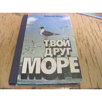 Ю. Зайцев. Твой друг море. 1982 г.