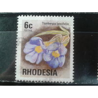 Родезия, 1974. Цветы