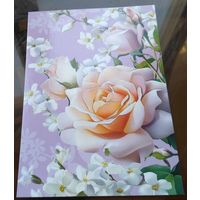 2025 год Розы