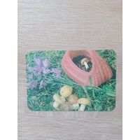 Календарик 1991