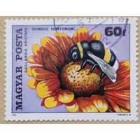 Венгрия 1980. Пчела. Цветок. Марка из серии