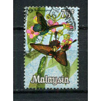 Малайзия - 1970 - Бабочки 75С - [Mi.66] - 1 марка. Гашеная.  (LOT Gw26)-T3P17