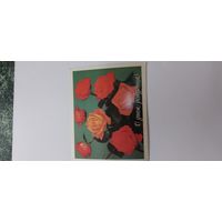 С днем рождения! 1985г.не подписана