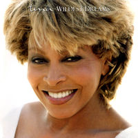 Tina Turner Wildest Dreams