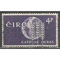 Ирландия. Борьба с голодом. 1963г. Mi#157.