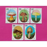 Куба. Грибы. ( 5 марок ) 1988 года. 3-5.