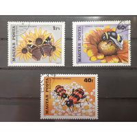 Венгрия. 1980 год. Фауна. Насекомые