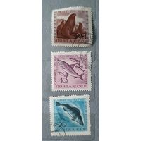 СССР охрана рыб 3шт