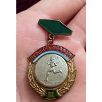 Значок. Первенство области