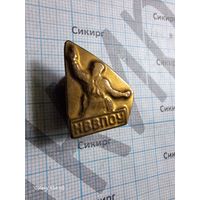 Знак ННВПОУ тяжелый самодельный