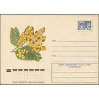Художественный маркированный конверт СССР N 10099 (05.11.1974) Акация серебристая