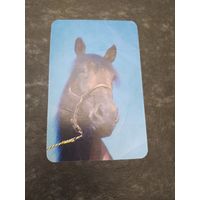 Лошадка) Союзрекламкультура