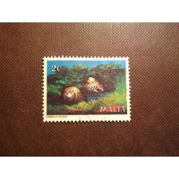 Мальта 1979 г.Морская улитка Мальтийский топ-шелл./36а/