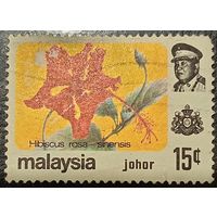 Малайзия. Флора. Цветы. Hibiscus Rosa Sinensis