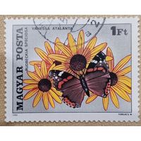 Венгрия 1980. Цветы. Фауна. Vanessa Atalanta