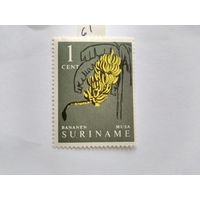 Суринам 1961
