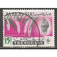 Тренгану. Орхидея Репхостилиус. 1965г. Mi#82.