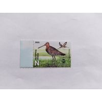 Беларусь  2025 птица года