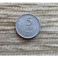Werty71 Польша 5 грошей 1972 Блеск