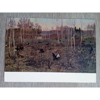 1956. Мухин. Когачи