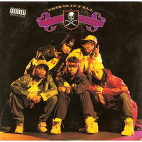 Poizon Posse – This Is It Y'all, Vinyl 1993