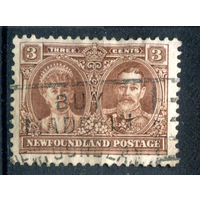 Британские колонии - Ньюфаундленд - 1928г. - король Георг V, королева Мария, 3 с - 1 марка - гашёная [Mi 131]. #3-WB-100-A-1