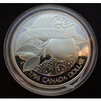 1 доллар 1996 Канада! Серебро 25,17 грамма 925 пробы 0,749 унции! Яблоки Мекинтош McINTOSH! ВОЗМОЖЕН ОБМЕН!