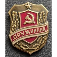 Дружинник