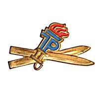 Наградной пионерский знак ГДР "Пионер - лыжник  II разряд"